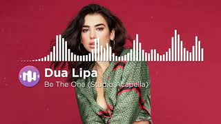 Dua Lipa - Be The One (Studio Acapella)