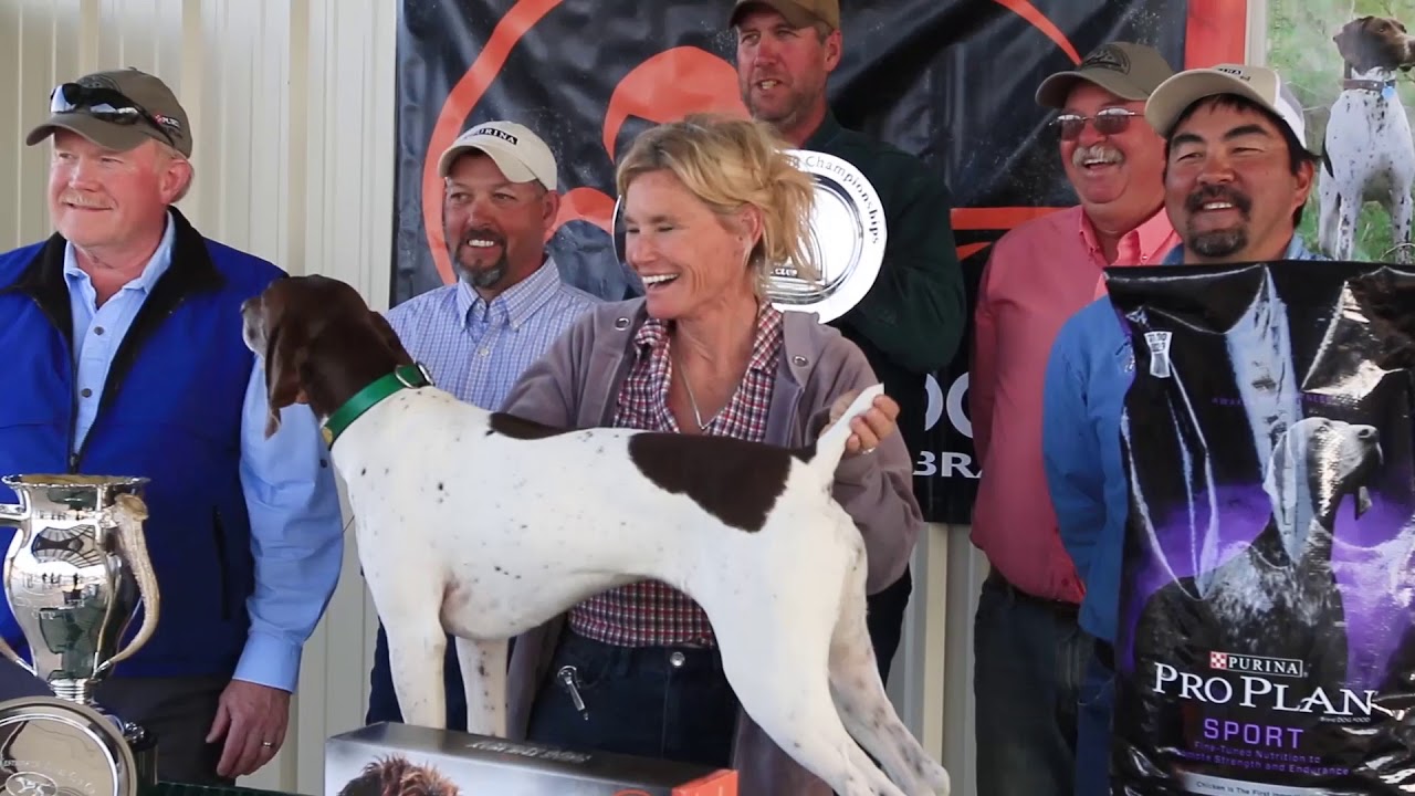 The Westminster Kennel Club Cup: 2017