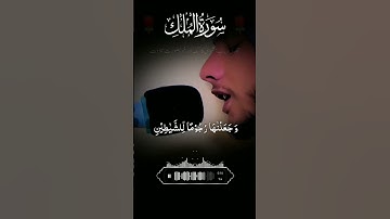 قارئ رحاب باكستاني تلاوة القرآن الكريم تلاوة خاشعة ومؤثرة ما تيسر من سورة الملك.