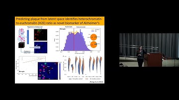 Multimodal Data Integration: From Biomarkers to Mechanisms