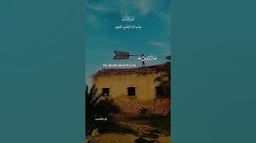 #سورة الملك ❦❦❦
