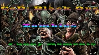 Cod Black Ops Zombies Funny Moments Moaning, China Lake, Dragunov, Hit It From The Back