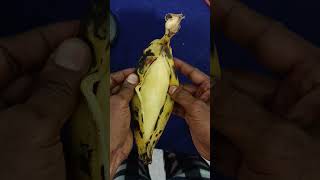 Tindok banana improve digestion  healthy fruits short video