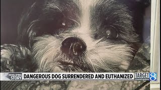 Pit bull mix that killed shih tzu surrendered, euthanized