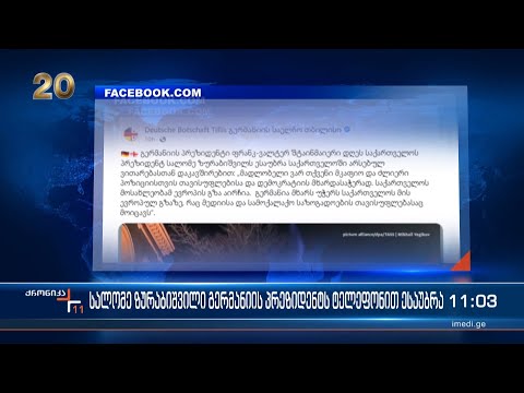 სალომე ზურაბიშვილი გერმანიის პრეზიდენტს ტელეფონით ესაუბრა