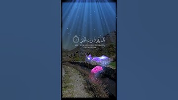 قرآن كريم تلاوة تريح الأعصاب #nature