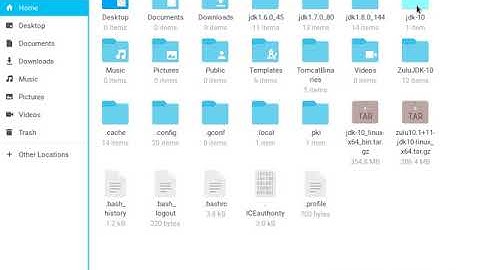 Java 10 (Oracle JDK 10), How to install in Zorin OS 12 | Java SE 10