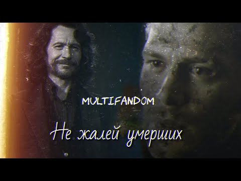 ❌Не жалей умерших || multifandom