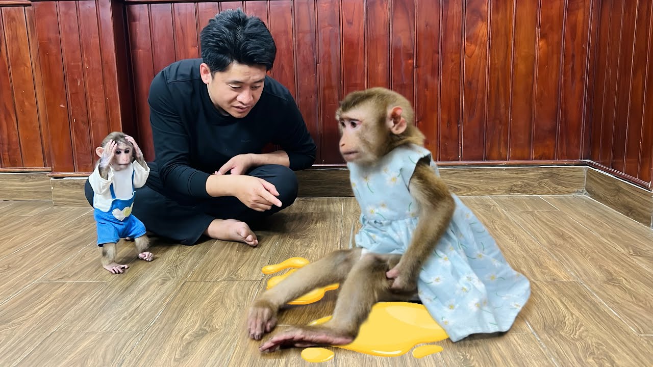 OMG! Tina the monkey pooped on her new dress, and the way she handled it was so unexpected!