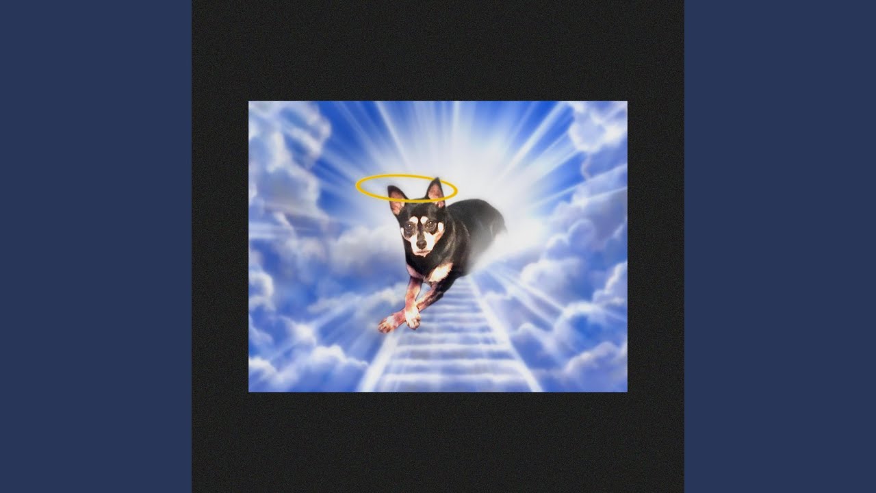 Watch Walk The Dog on YouTube