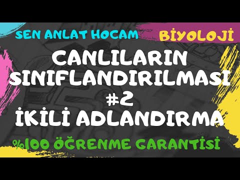 Video: Adlandırma sistemimiz neden iki terimli adlandırmadır?