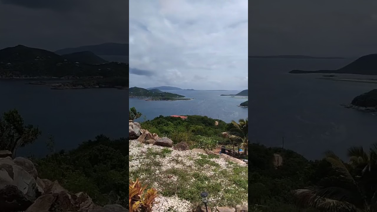 Amazing Seaside garden 🏝🌾🍃