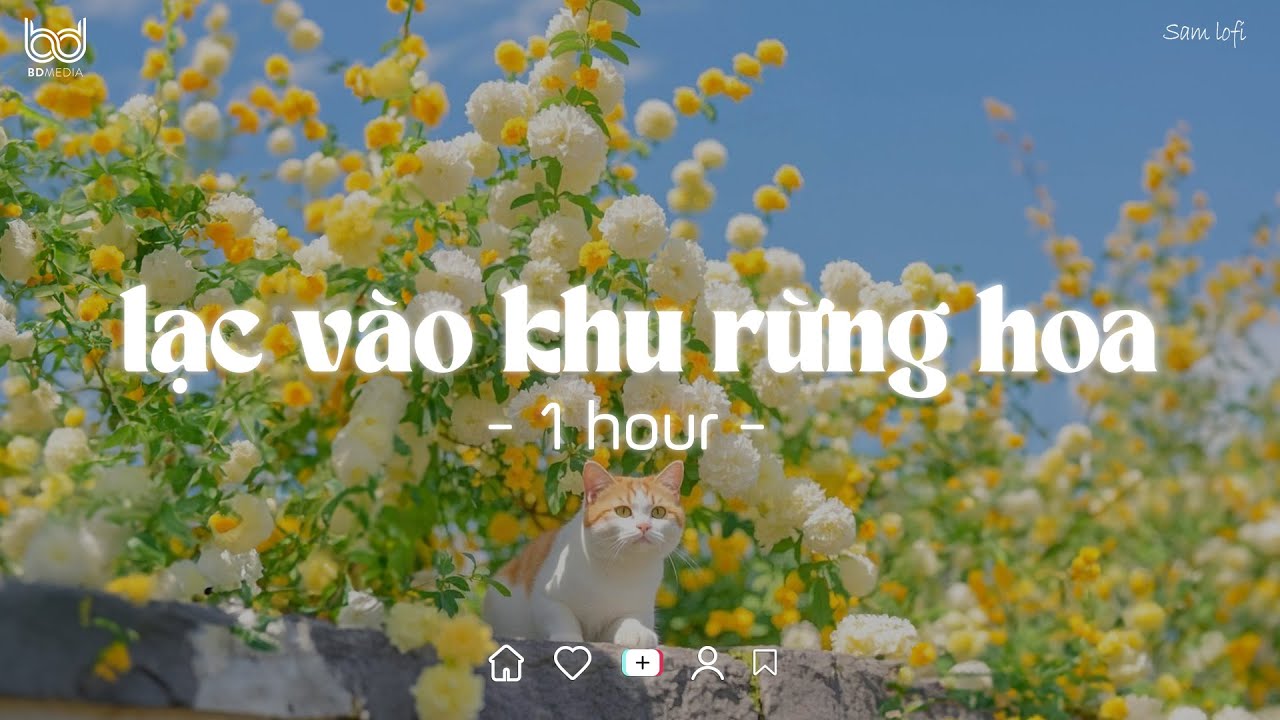 [1 HOUR] Lạc Vào Khu Rừng Hoa | Nắng Ấm Trong Tim Lofi - Nhạc Chill Tiktok 2025