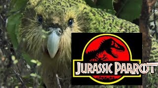 Jurassic Parrot