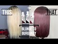 HOW TO: WATERCOLOR DYE METHOD | BLONDE TO BURGUNDY TRANSFORMATION