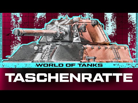 Taschenratte | ВЕЧЕРНЯЯ ЧИЛОВАЯ ПОД МУЗЫКУ