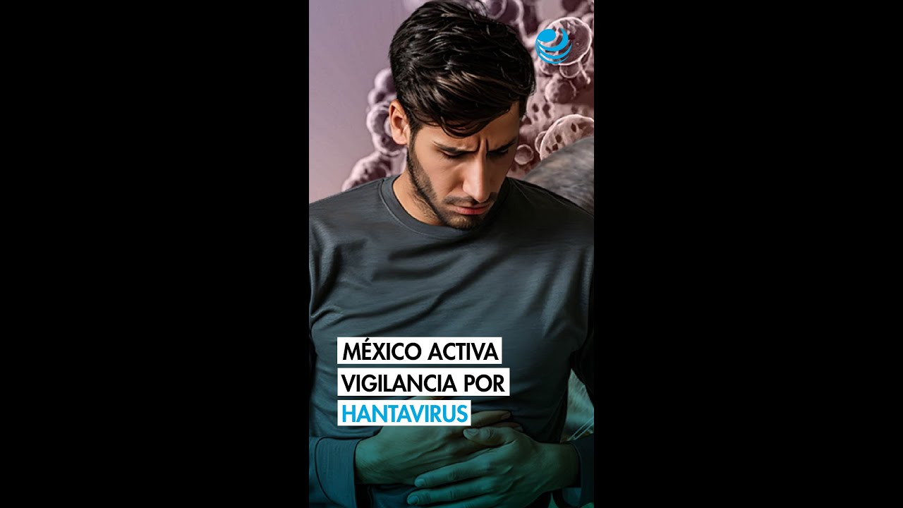 México activa vigilancia por hantavirus: cronología del brote que mantiene en alerta a la OMS