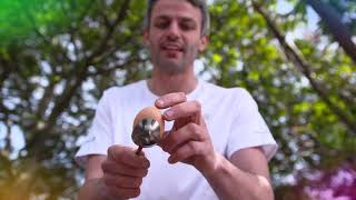 RTÉ Home School Hub Olympics - Egg and Spoon Race