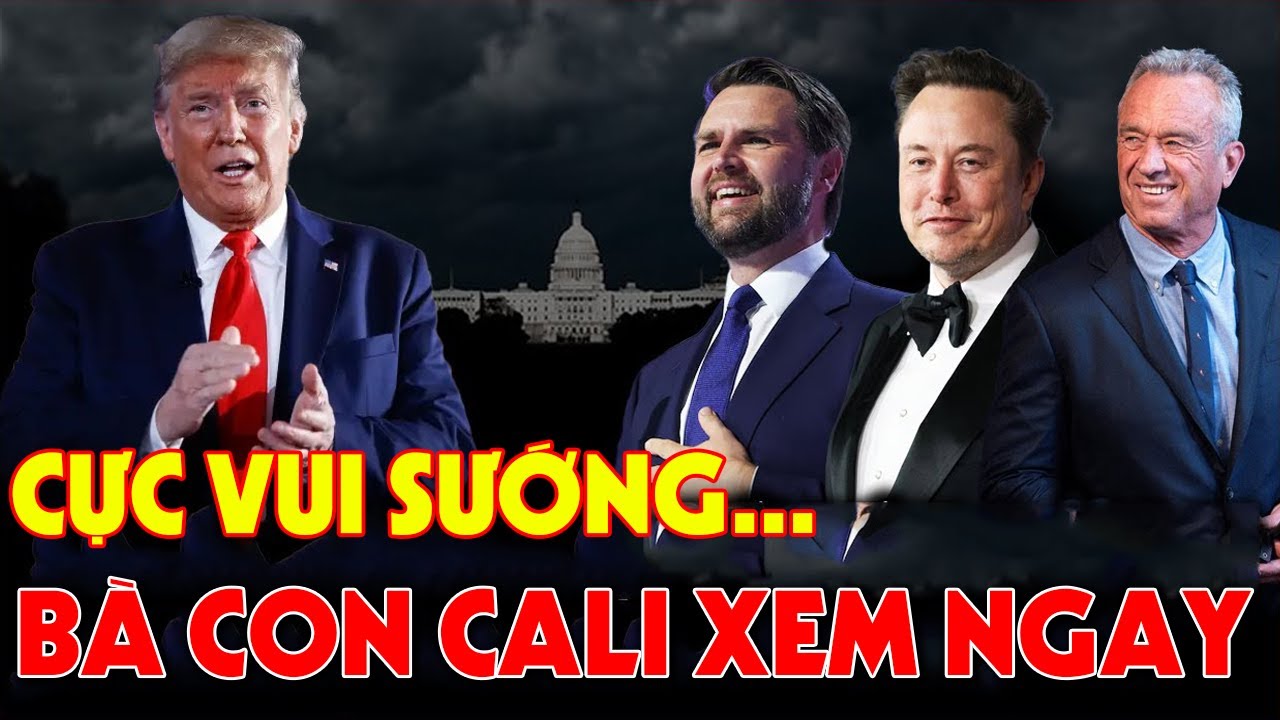 STEPHEN MILLER VÀ KAROLINE LEAVITT DẠY CHO ĐẢNG DC MỘT BÀI HỌC ĐỪNG PHẢN BỘI LỜI THỀ VỚI ĐẤT NƯỚC