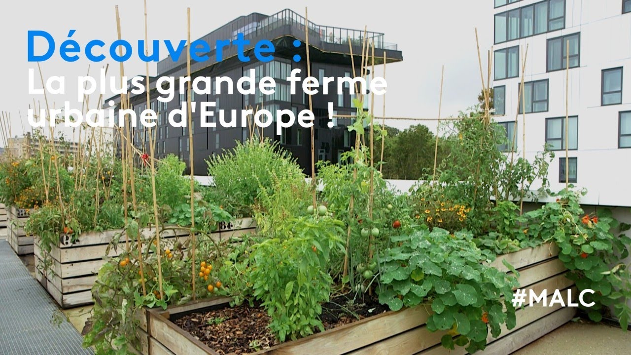 Découverte : la plus grande ferme urbaine d'Europe !