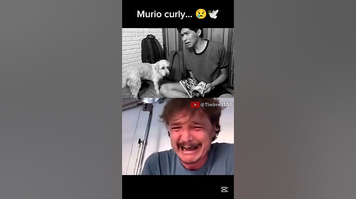 Murió curly el perro de fernanfloo... 🕊️🐶