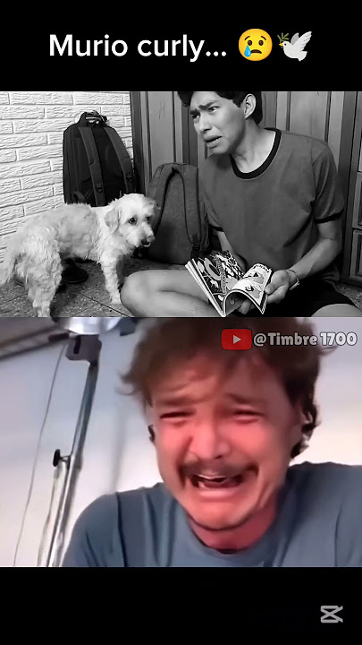 Murió curly el perro de fernanfloo... 🕊️🐶