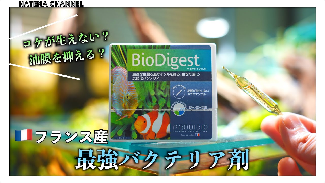 【検証】BioDigestバイオダイジェスト　あのプロも紹介していたバクテリア剤　果たして本当にコケと油膜に効果があるのか？