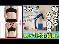 【5分】腰回り激やせ！【腹筋超効く】立ち腹筋で腰と横腹のうきわ肉を撃退