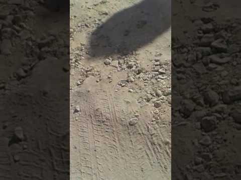 المشي مشيت إلى طريق طويل