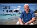 David Attenborough on Overpopulation