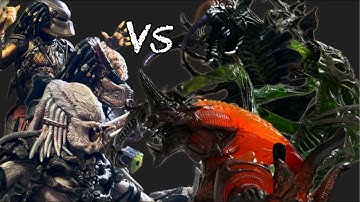 PREDATOR VS Alien