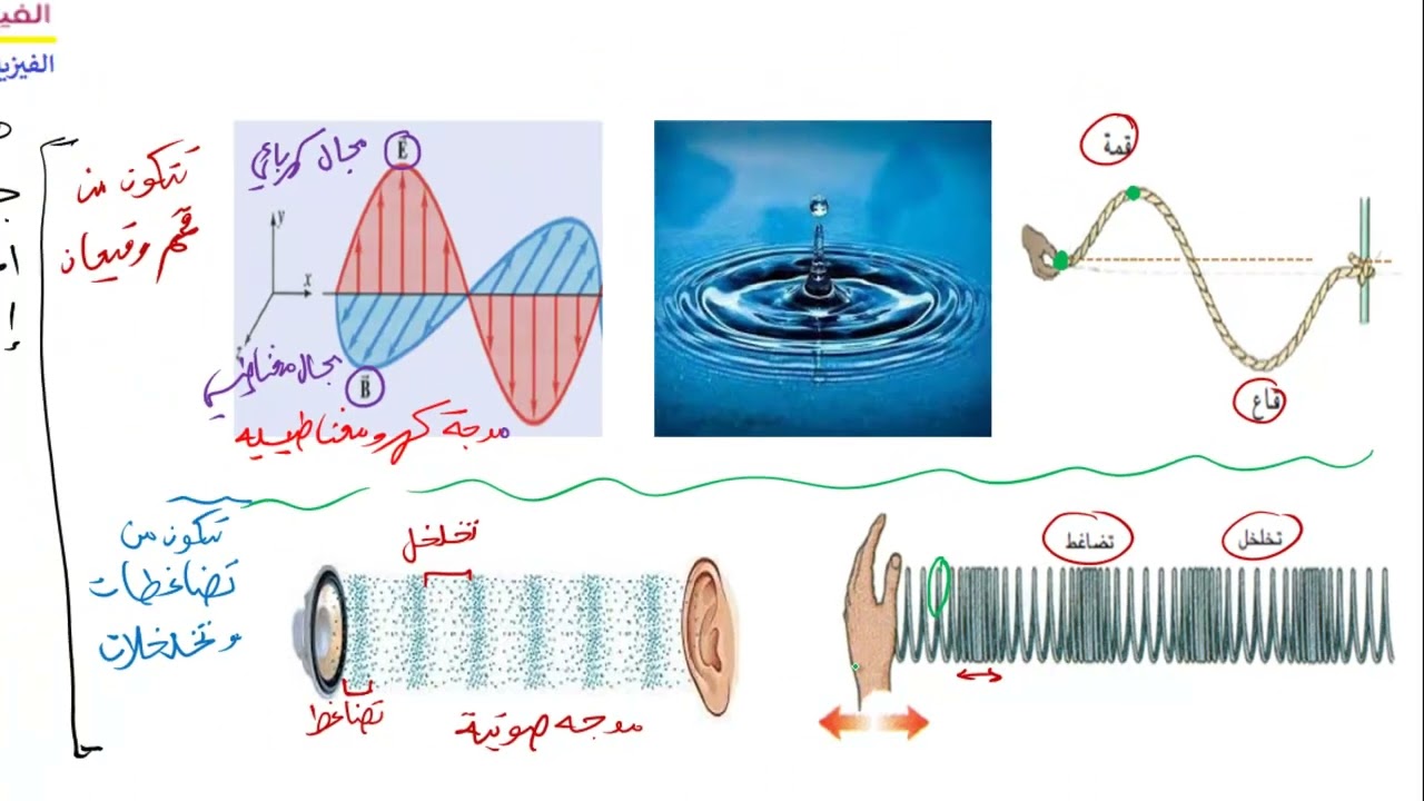 وصف الموجه (للصف 12 منهج كامبرج للفصل الثاني)