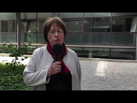 Jacqueline Farache - Colloque SNC 2018 travaille