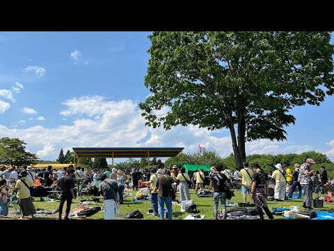 小さな恋のうた(Audience seats) / 1000人 ROCK FES. GUNMA 2024 / Live at 伊香保グリーン牧場 / JUNE 1, 2024