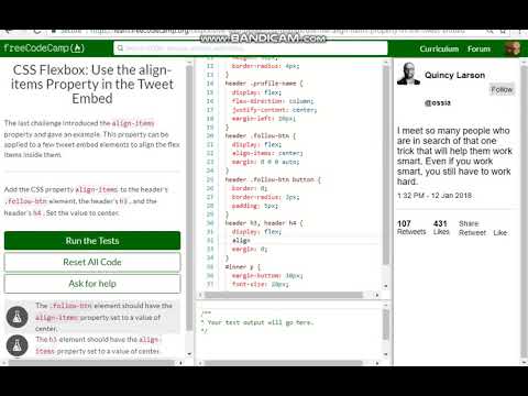 CSS Flexbox Use the align items Property in the Tweet Embed free code camp   Dani
