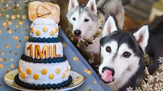 EPIC Cake For Dogs To Celebrate One Million | DIY Dog Treats