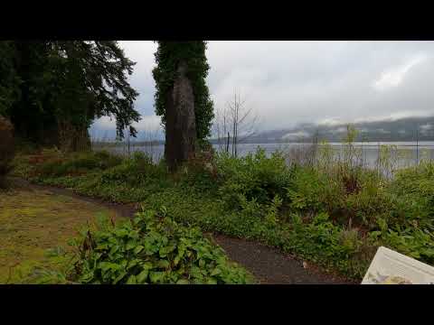 Video: Lõõgastuge Lake Quinault Lodge'is Washingtoni olümpiapoolsaarel