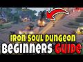IRON SOUL DUNGEON BEGINNERS GUIDE (RACES, INDEX, WEAPON, TIPS, CODES, FORGE, BEST BUILD GEAR) Roblox