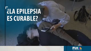 ¿La cura para la epilepsia está en México?