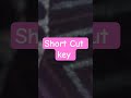 Italic font kasa kar sakta ha