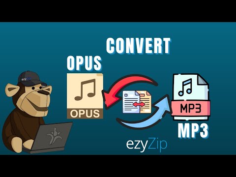 How to Convert