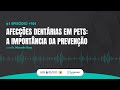 Afecções dentárias em pets: a importância da prevenção