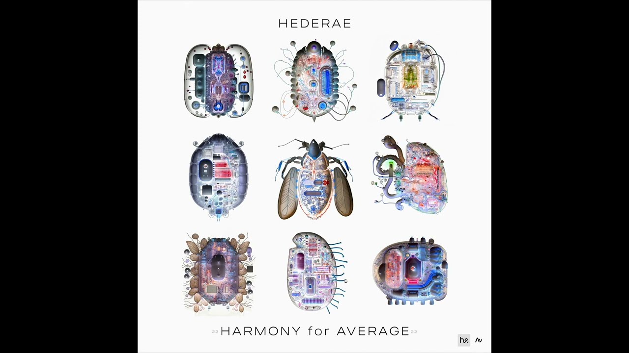 Watch HARMONY for AVERAGE - prod. Hederae on YouTube Watch HARMONY for AVERAGE - prod. Hederae on YouTube