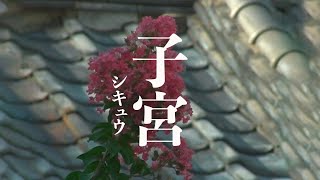 Khaki - 子宮 (Official Music Video)