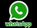 #واتس_اب اربع خطوات للحفاظ على  whatsapp privecy الخصوصية