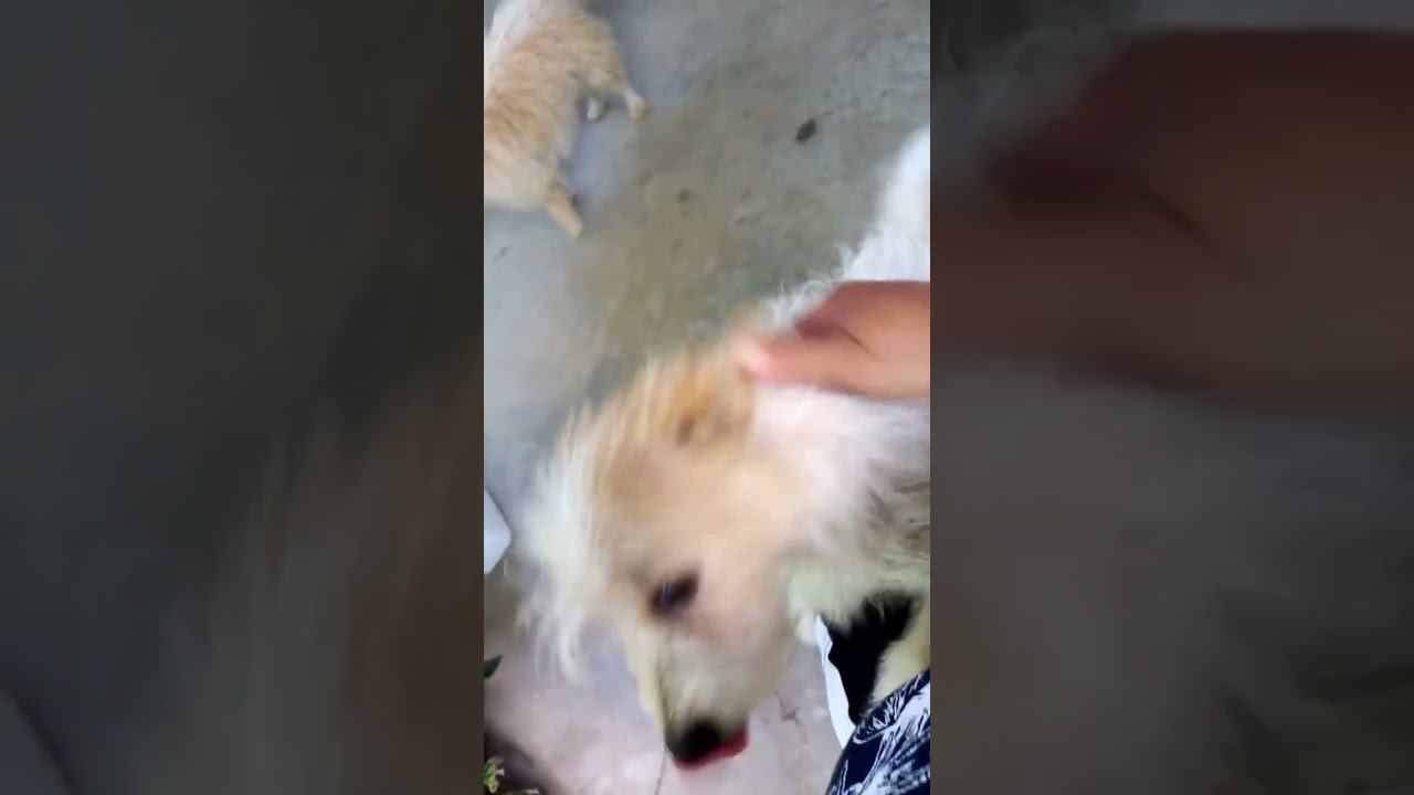 Euforia p&oacute;s banho 😂 