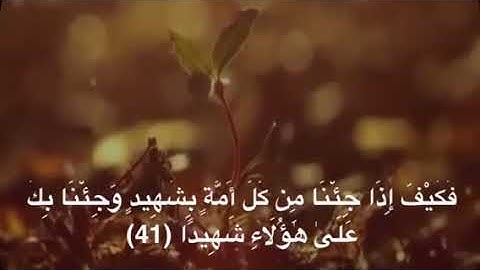 نبيل الصالح / مقتطفات من القرآن الكريم '