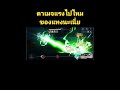 รีวีวน้องHRESVELGR#arterygearfusion#arteygear