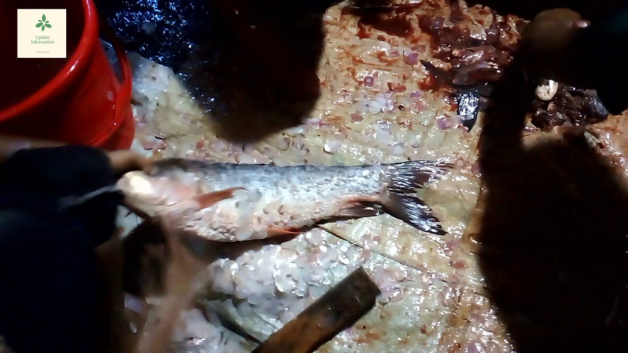 Rohu Fish Cutting Skills How To Cut Fish at Home | Fish Cutting Videos | Rohu Fish Cutting.