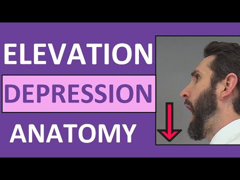 Video: Hvad er elevation og depression?